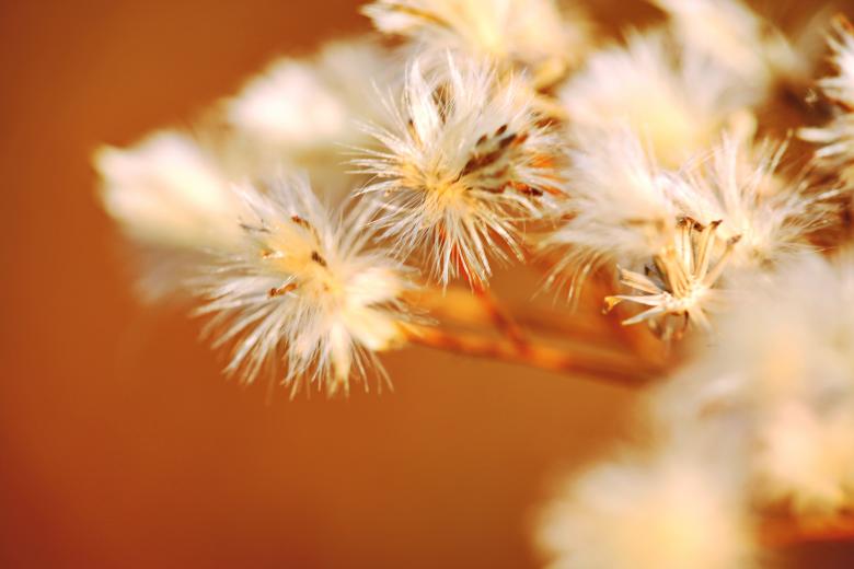 Free stock image of Nature background created by 2happy