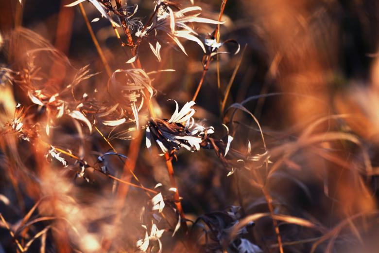 Free stock image of Nature background created by 2happy
