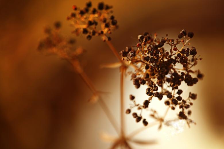 Free stock image of Nature background created by 2happy