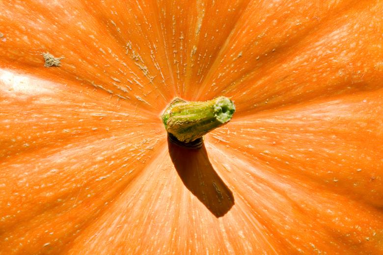 Free stock image of Pumpkin created by 2happy