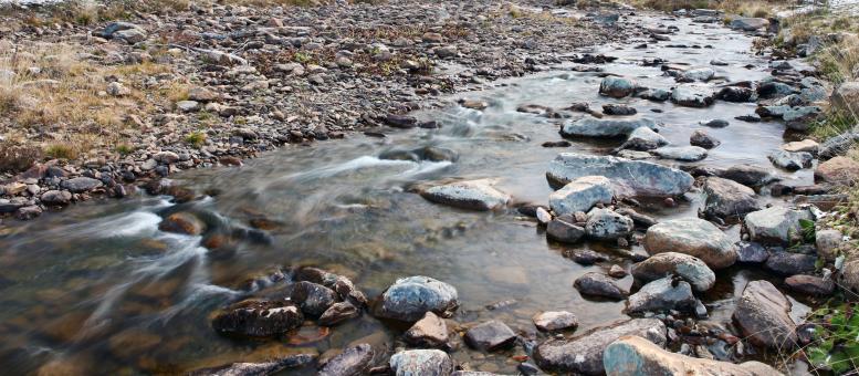 Free Stock Photo of River