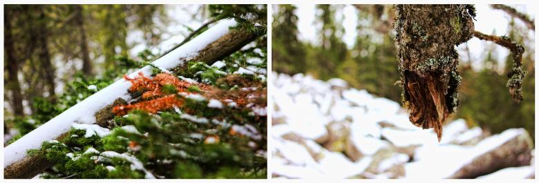 Free stock image of Nature created by 2happy
