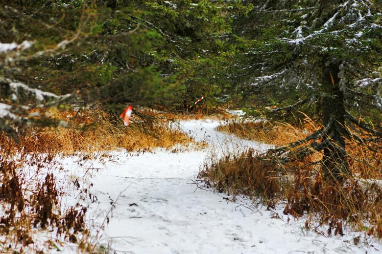 Free stock image of Winter path created by 2happy