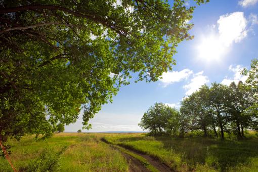 Free Stock Photo of Sunny day