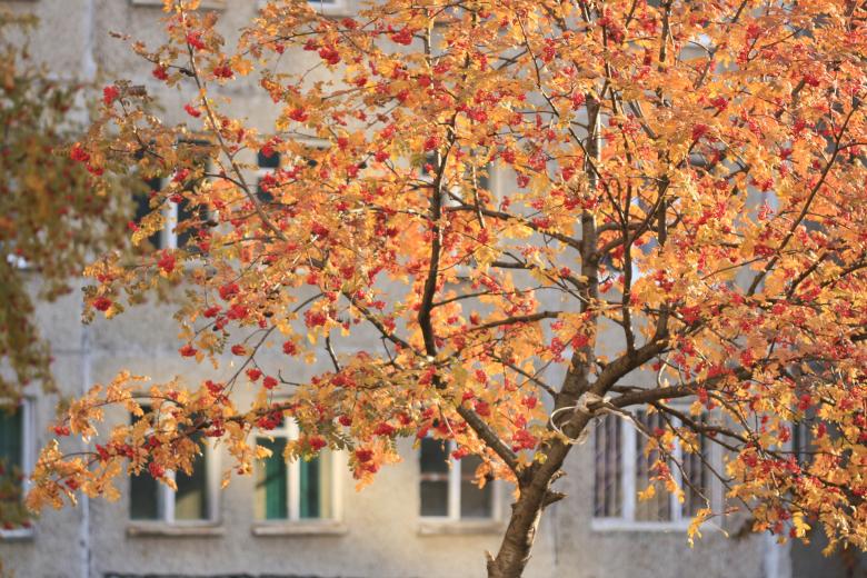 Free stock image of Daylight created by 2happy