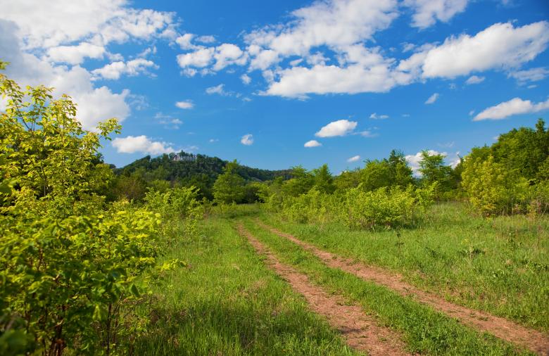 Free stock image of Nature  created by 2happy