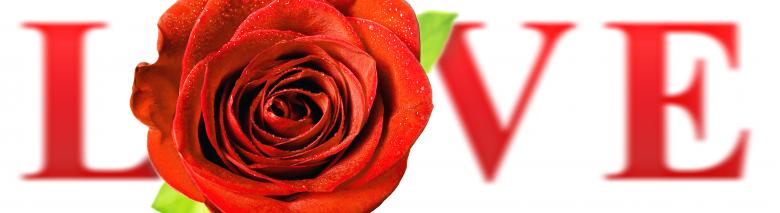 Free stock image of LOVE created by 2happy