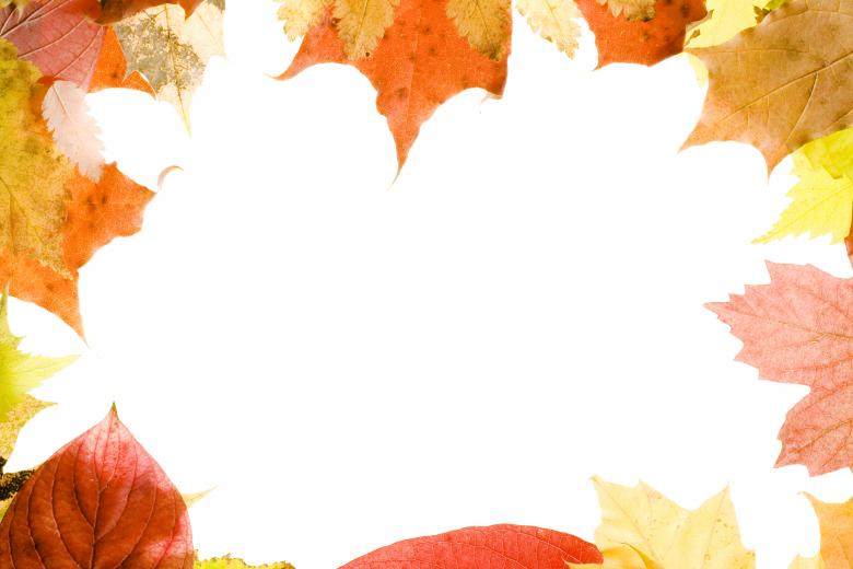 Free stock image of leaves created by 2happy