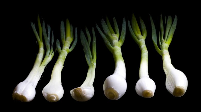 Free stock image of onion  created by 2happy