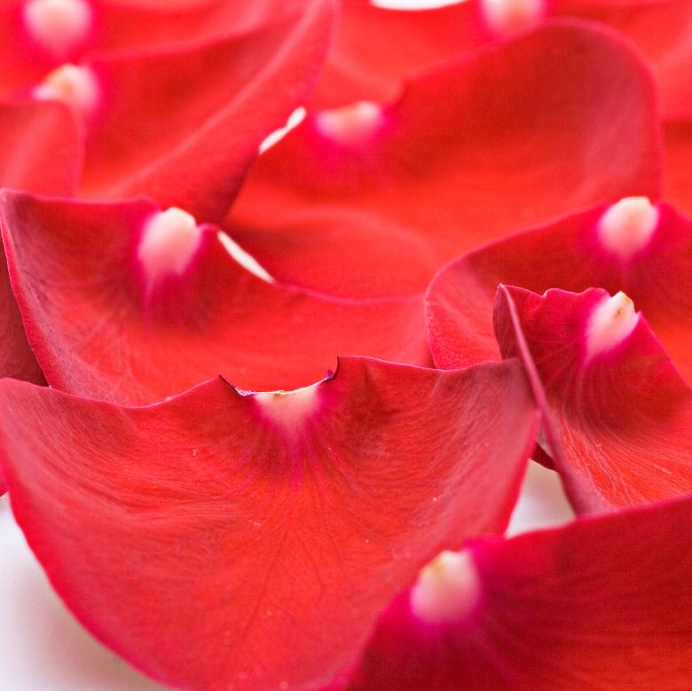 Free stock image of Red petals created by 2happy