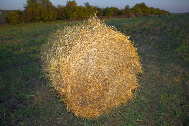 Free stock image of hay created by 2happy