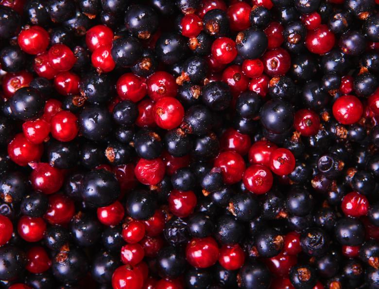 Free stock image of Mixed Currants created by 2happy