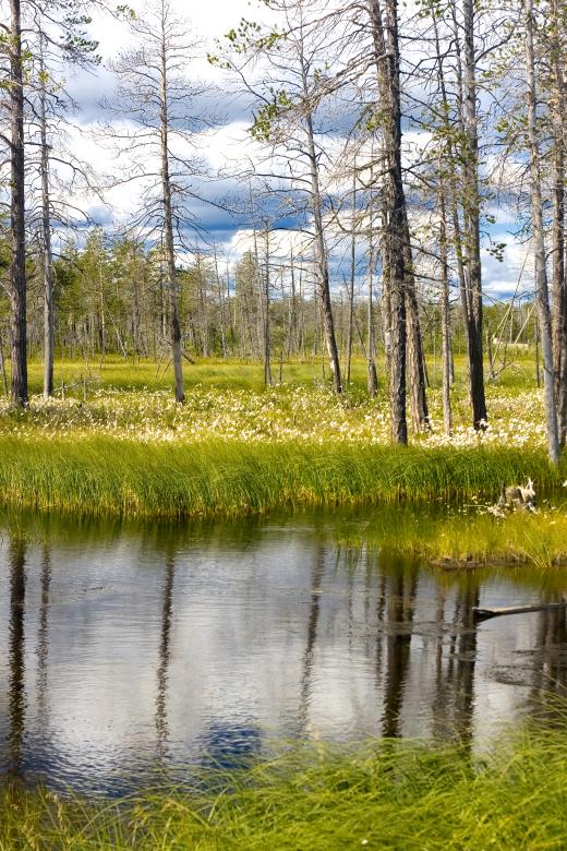 Free stock image of summer landscape created by 2happy