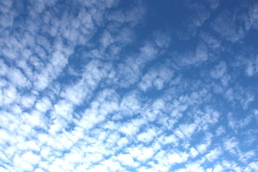 Blue Sky - Free Stock Photo