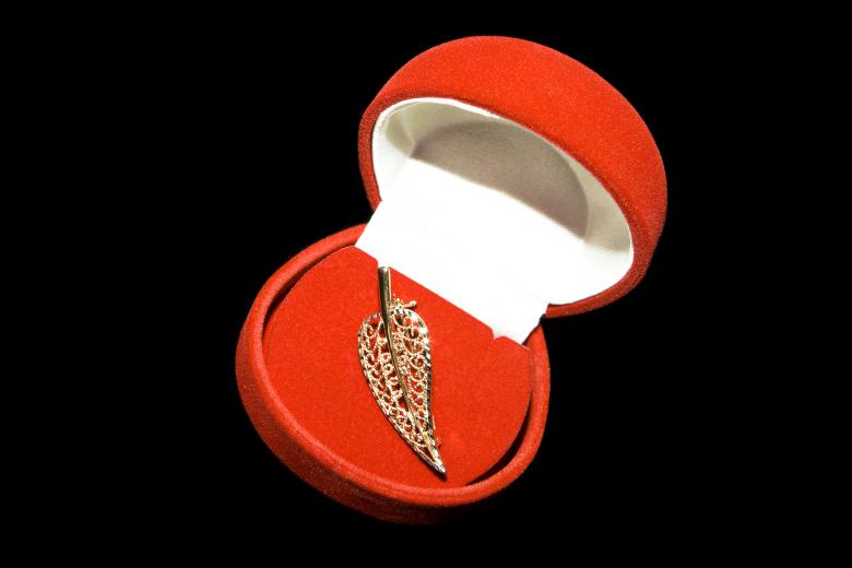 Free stock image of Golden Brooch created by 2happy