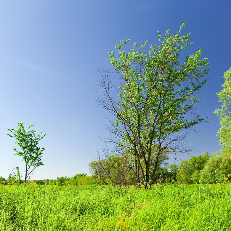 Free stock image of blue and green scene created by 2happy