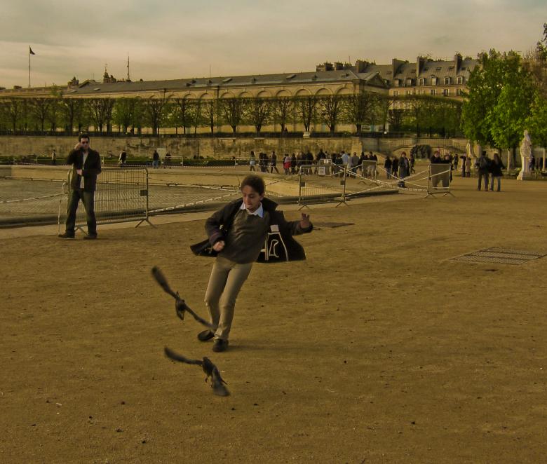 Free stock image of Boy chasing birds created by Brian