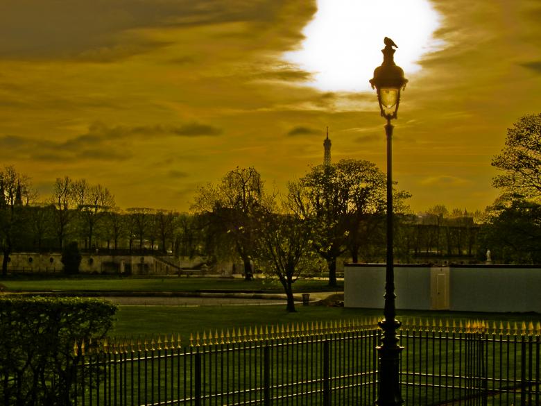 Free stock image of Bird on a light post created by Brian