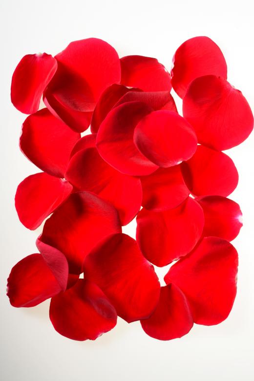 Free stock image of rose petals created by 2happy