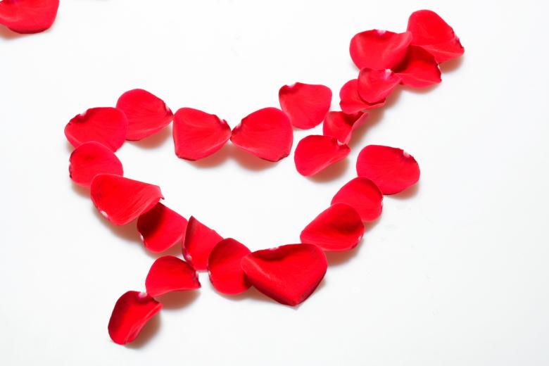 Free stock image of rose petals created by 2happy