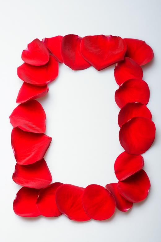 Free stock image of rose petals created by 2happy