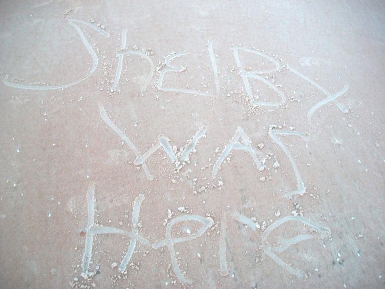 Free stock image of Beach created by Shelby G