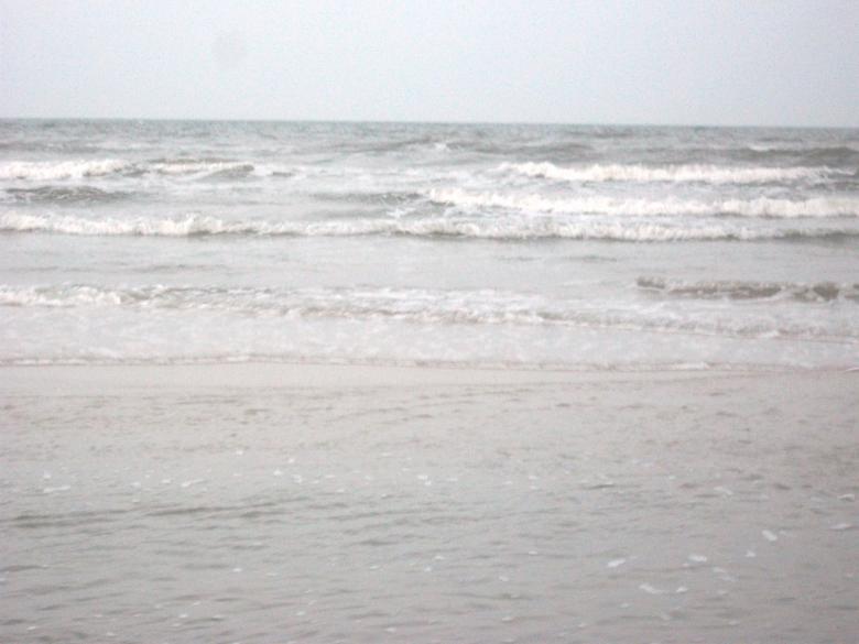 Free stock image of Beach view created by Shelby G