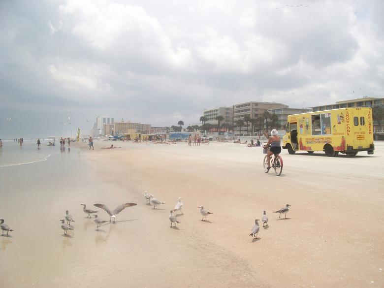 Free stock image of At the beach created by Shelby G