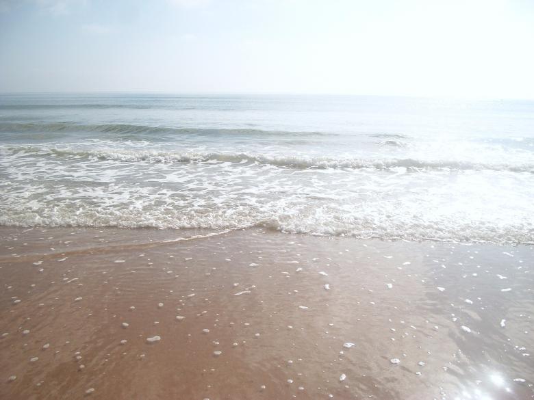 Free stock image of Braking Waves created by Shelby G