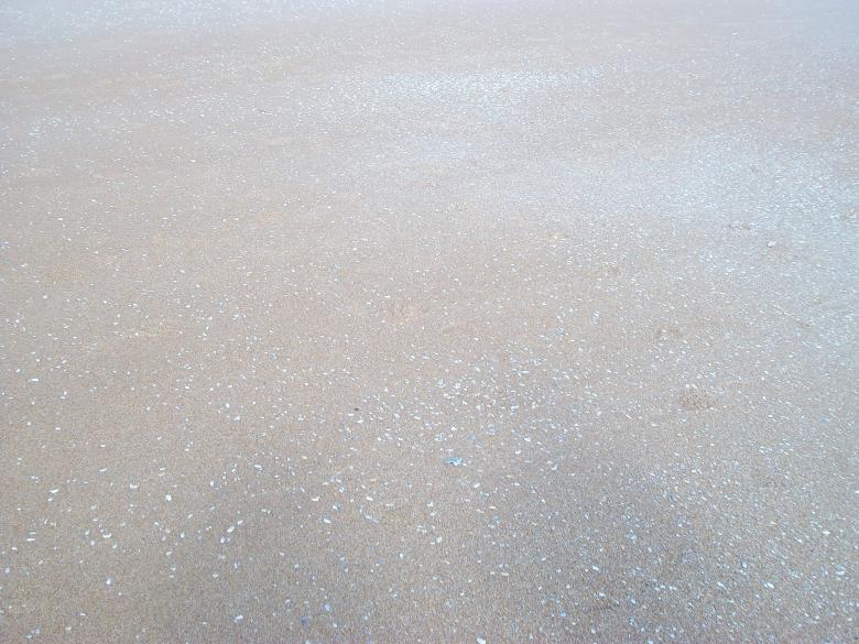 Free stock image of Sea created by Shelby G