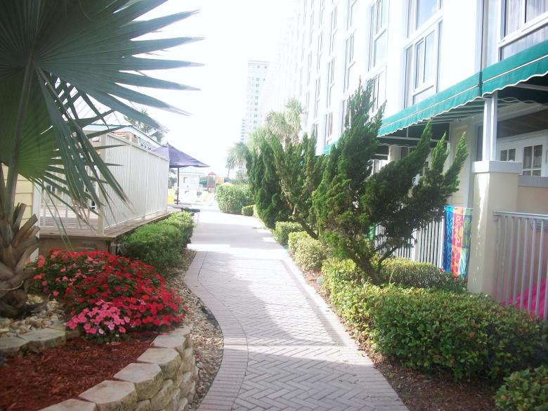 Free stock image of Path created by Shelby G