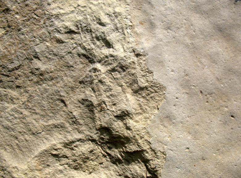 Free stock image of Stone Surface Texture created by Free Texture Friday