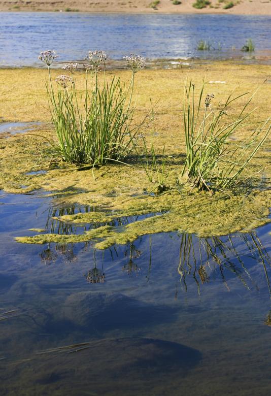 Free stock image of Water scene created by 2happy