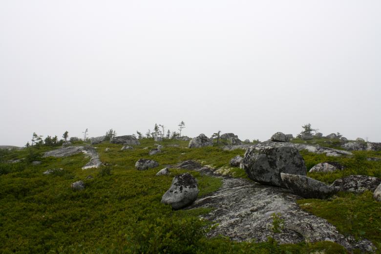 Free stock image of Green Hill created by Danny Ouellet