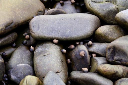 Free Stock Photo of Stones