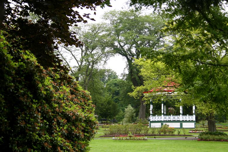 Free stock image of Garden view created by Danny Ouellet