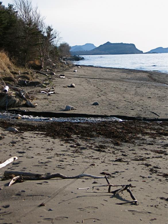 Free stock image of Beach created by Danny Ouellet