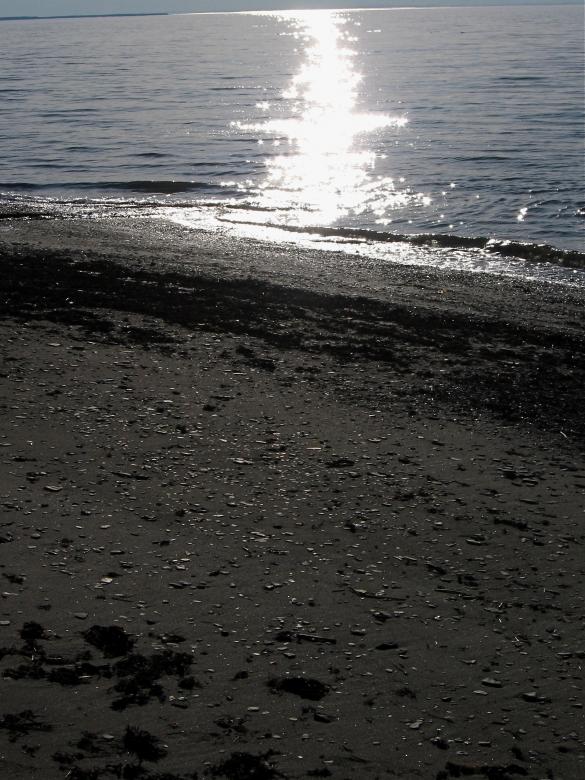Free stock image of Beach created by Danny Ouellet