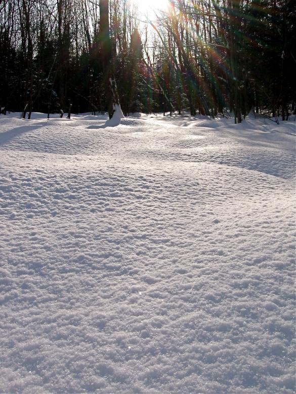 Free stock image of Snow on the ground created by Danny Ouellet