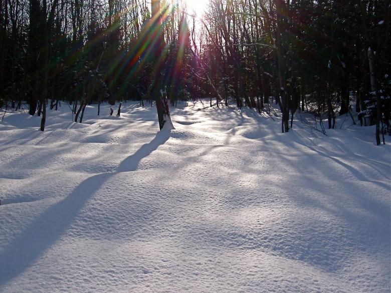 Free stock image of Snow on the ground created by Danny Ouellet