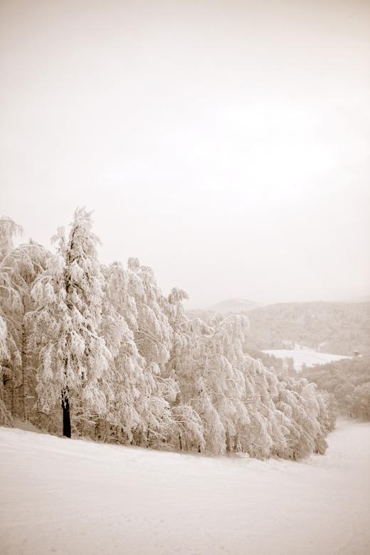 Free stock image of Winter scene created by 2happy