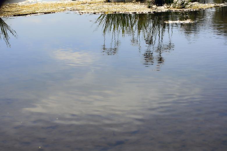 Free stock image of Water scene created by 2happy