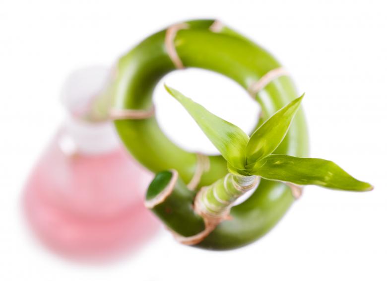 Free stock image of plant  created by 2happy