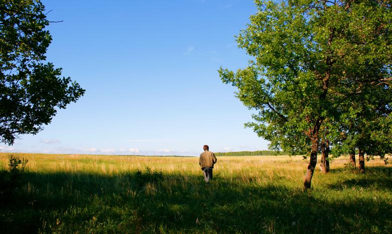 Free stock image of nature  created by 2happy