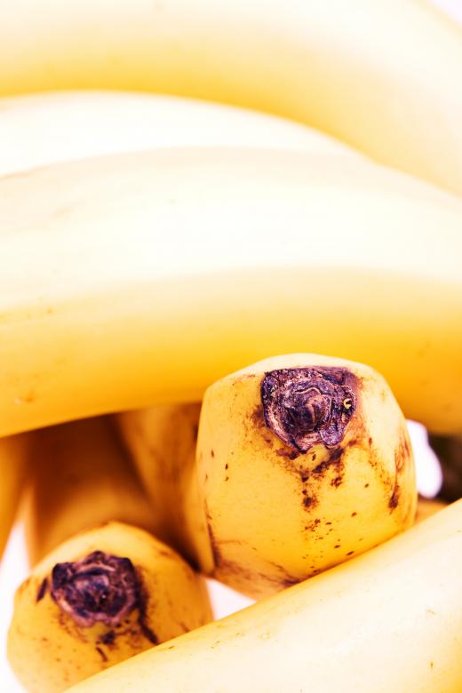 Free stock image of Bananas created by 2happy