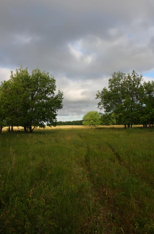 Free stock image of nature  created by 2happy