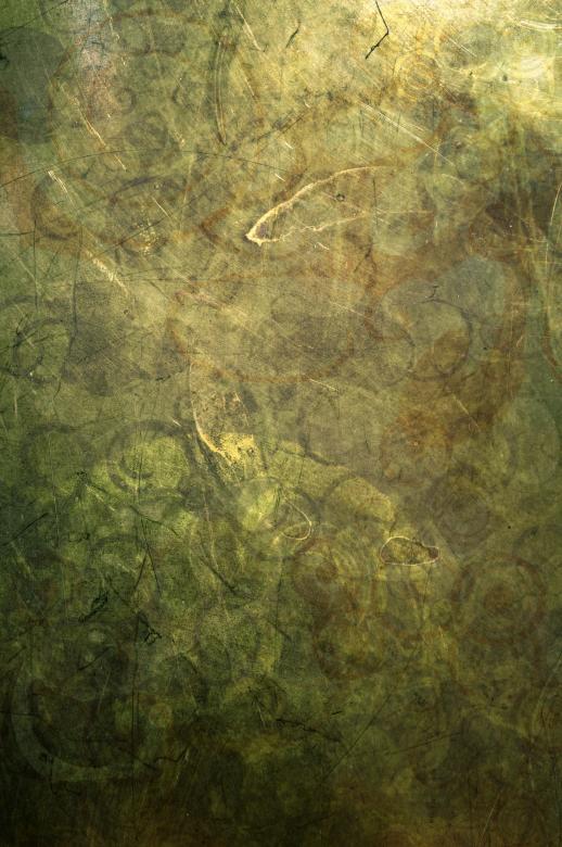 Free stock image of Gold and Green created by Rachael Towne