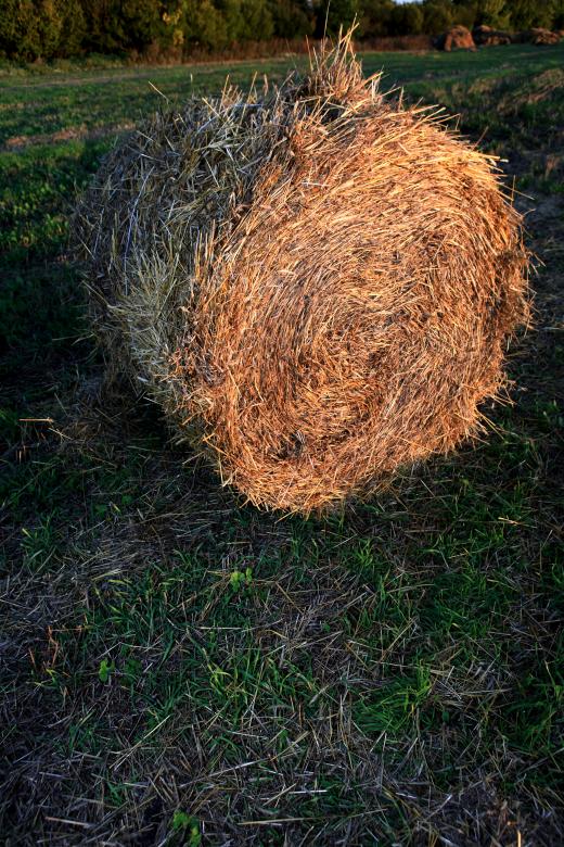 Free stock image of haystack created by 2happy