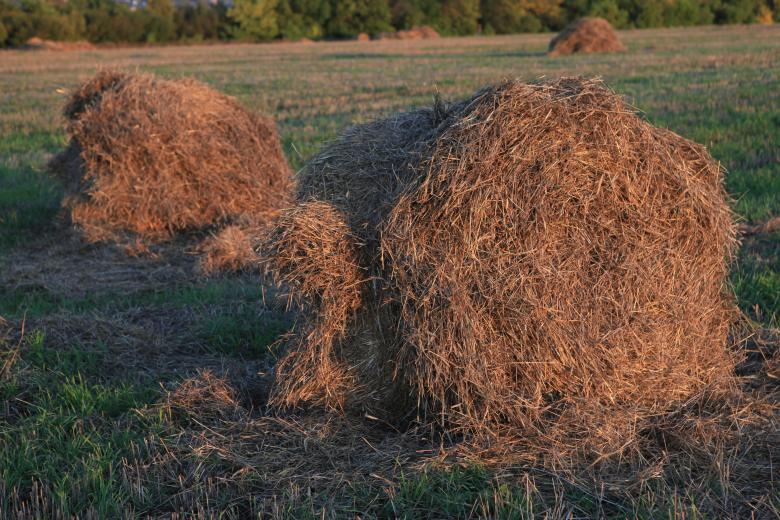 Free stock image of haystack created by 2happy