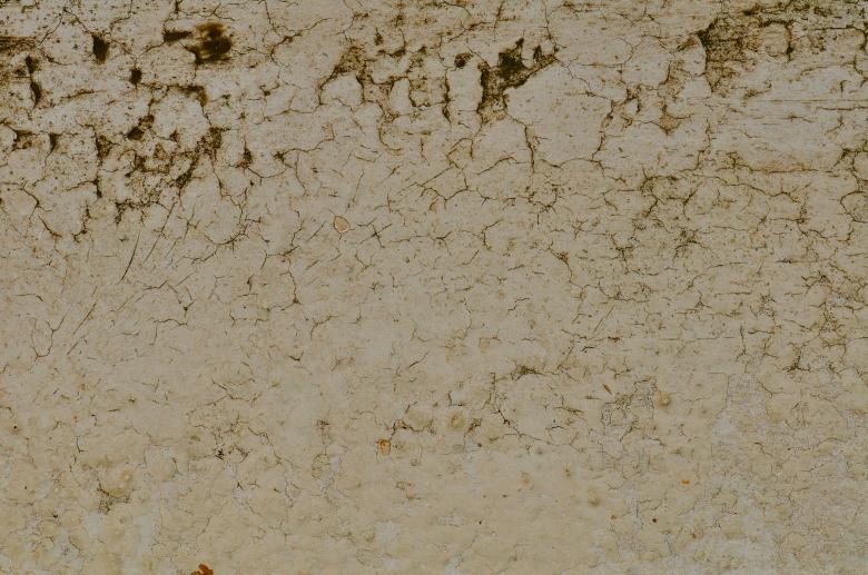 Free stock image of Cracked plaster created by rudy bagozzi